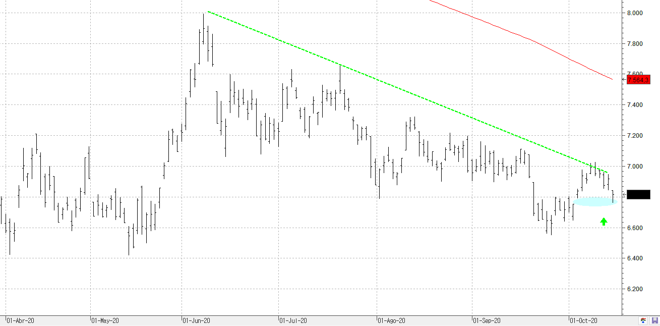 c151020ibex