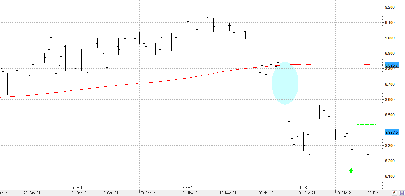 c211221ibex