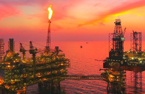 cambium red cambium red