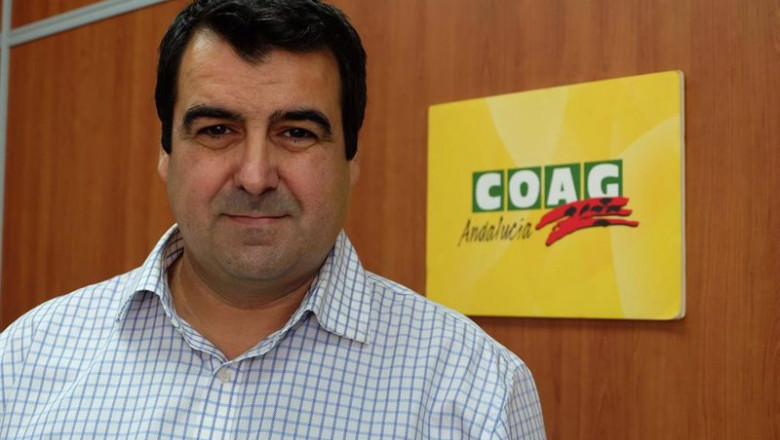 ep andres gongora responsable estatal de frutas y hortalizas de coag