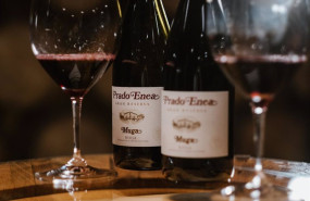 ep archivo   prado enea de bodegas muga