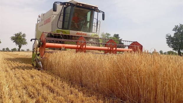ep archivo   vaneck lanza un etf global con exposicion al sector del agronegocio