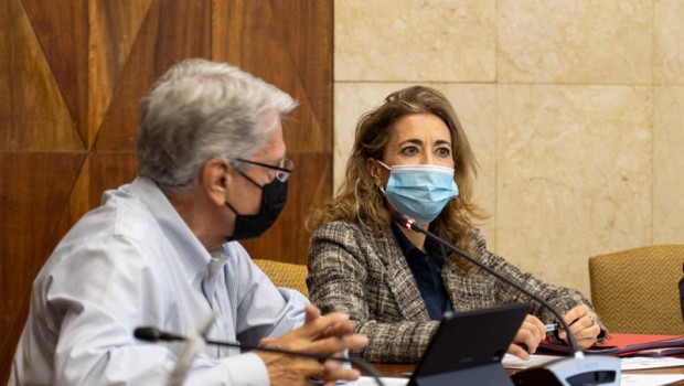 ep el consejero de seguridad y emergencia del gobierno de canarias julio perez y la ministra de