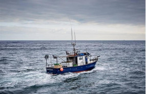 ep makro potenciadesarrollola pesca sostenibleeuskadi