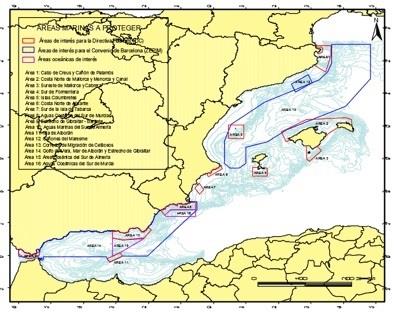 Mapa del corredor migratorio de cetáceos en el Mediterráneo | CAIB ep mapacorredor migratoriocetaceosmediterraneo