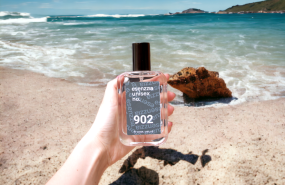 imagen ndp junio 2 imagen ndp junio 2