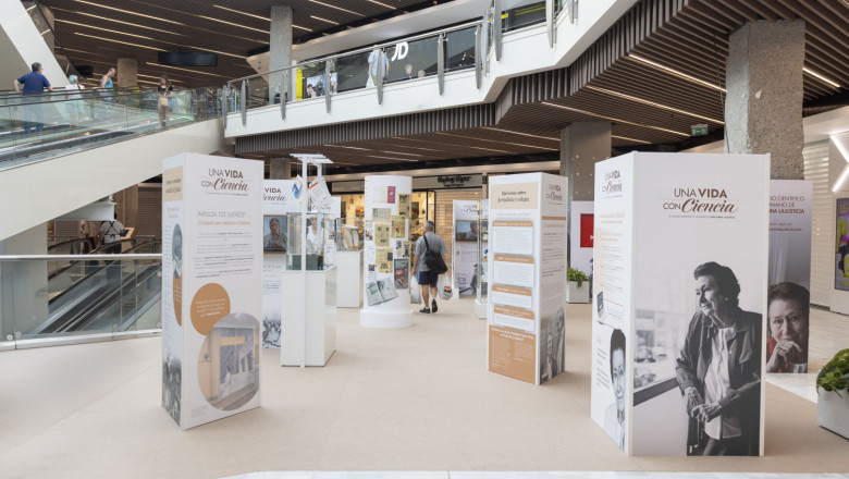 070a1682 20251027183732 