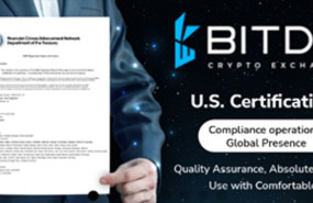 1238939 1661774736867