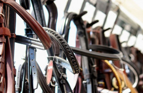 1570361323 pasion familias para web