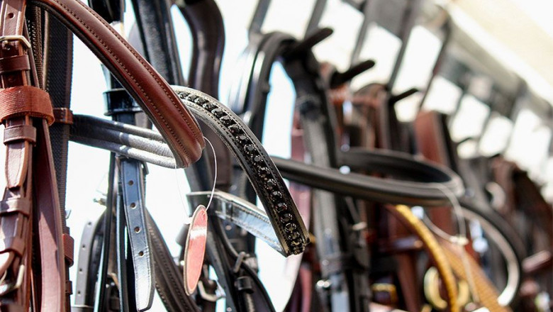 1570361323 pasion familias para web