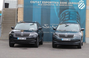 1573735103 rcdeskoda