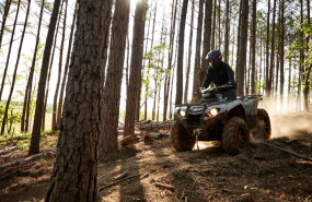 2021 yam yfm450fwbdsedl eu bns5 act 004 03 preview 1 20251023162243 2021 yam yfm450fwbdsedl eu bns5 act 004 03 preview 1 20251023162243