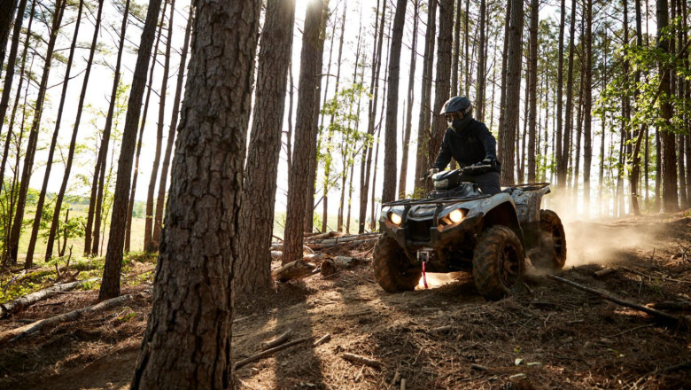 2021 yam yfm450fwbdsedl eu bns5 act 004 03 preview 1 20251023162243 