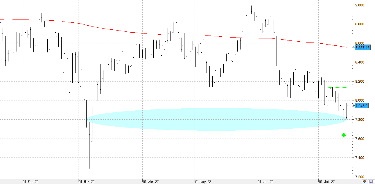 c150722ibex