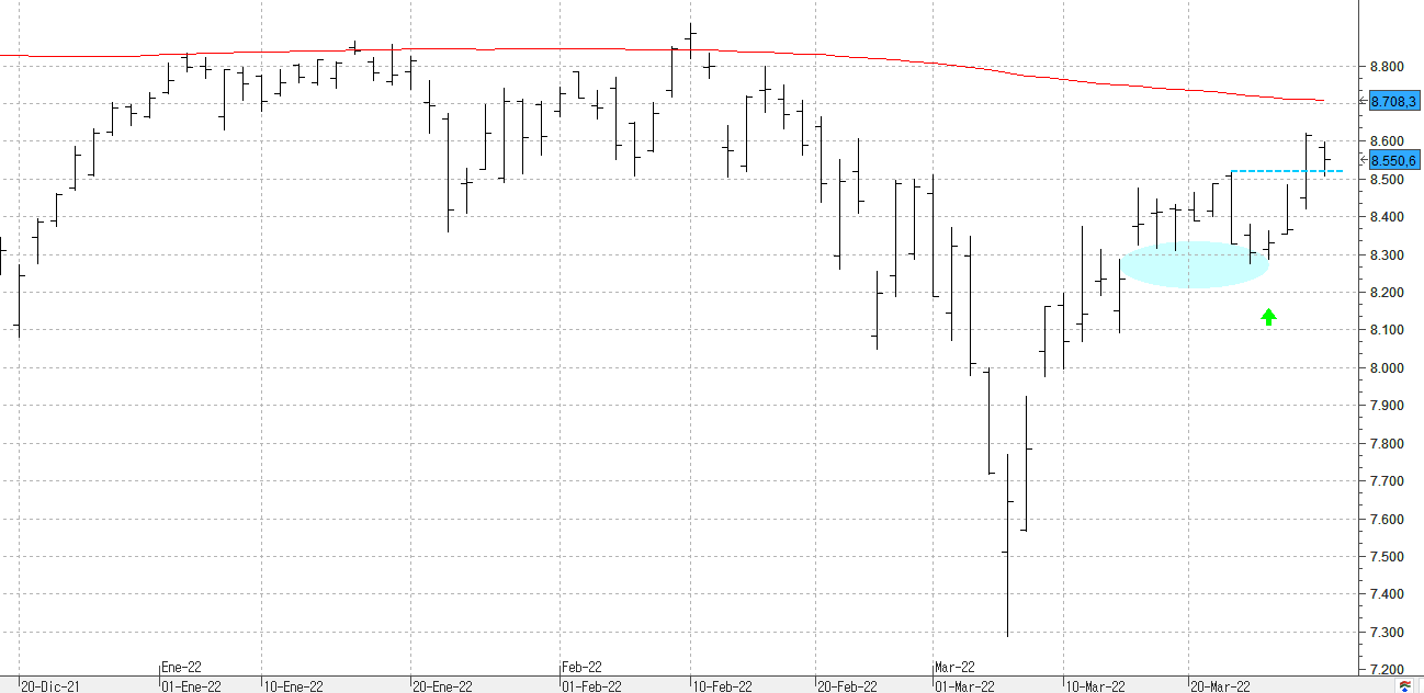 c300322ibex