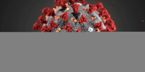 coronavirus-un-premier-cas-de-transmission-humaine-signale-aux-usa coronavirus-un-premier-cas-de-transmission-humaine-signale-aux-usa