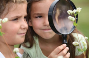 ep birdlife convoca un concurso para incentivar la accion climatica en centros publicos de primaria