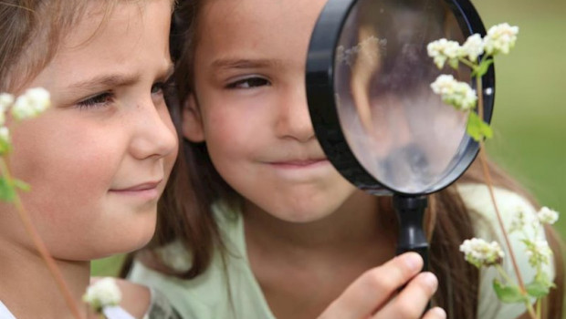 ep birdlife convoca un concurso para incentivar la accion climatica en centros publicos de primaria