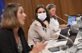 ep irene montero en una reunion telematica con ccaa