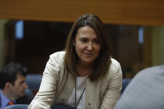 ep la diputadappla asambleamadrid isabel gonzalez