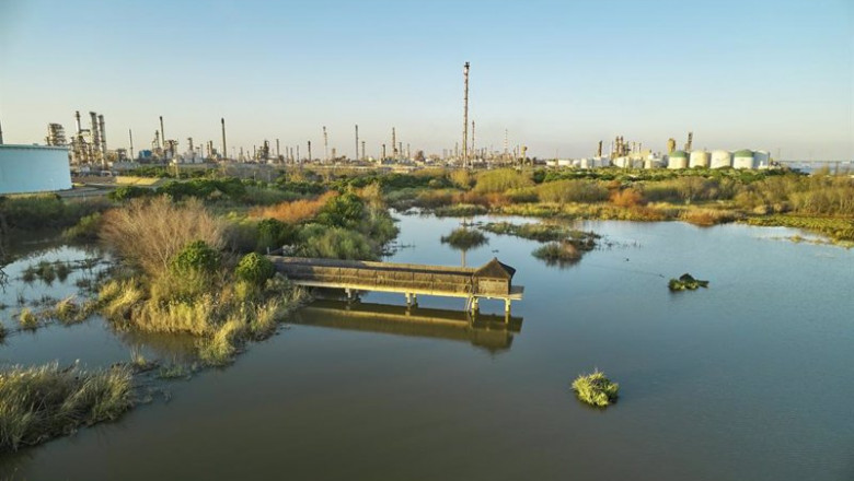 Planta de producción de Cepsa | CEPSA ep planta de produccion de cepsa