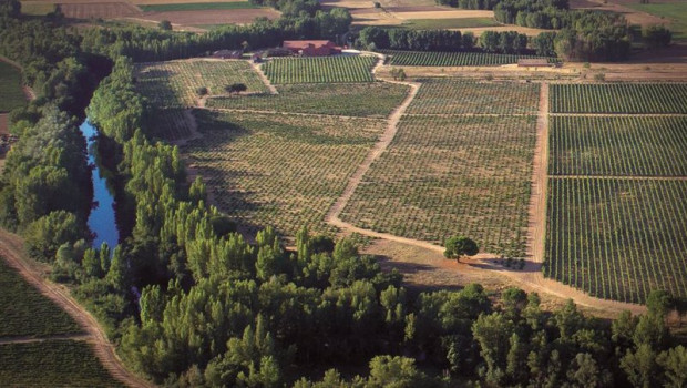 ep vinedos de la bodega dominio fournier