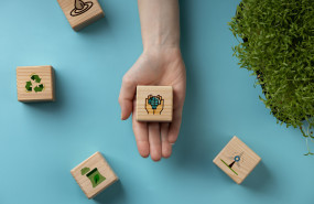 ndp objetivos sostenibles 2025 2 