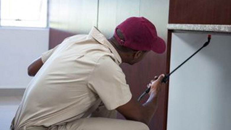 1601290616 desintorre c mo luchar contra la aparici n de las plagas