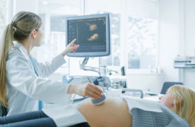 1627285511 np adipocitocinas