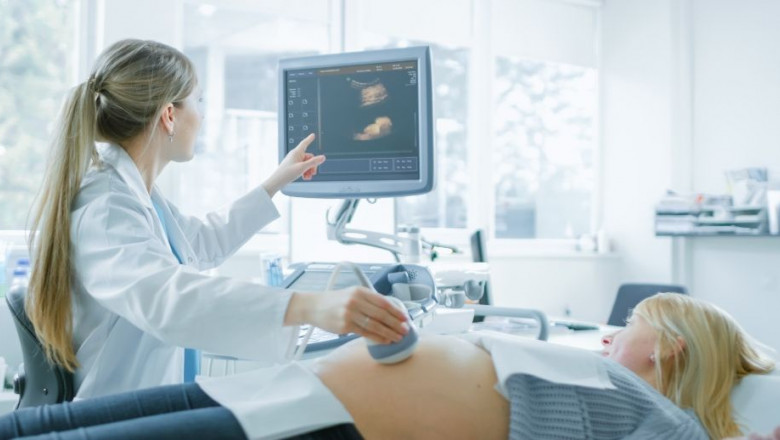 1627285511 np adipocitocinas