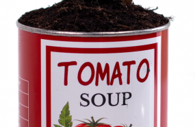 1650621358 captura de pantalla 2022 04 22 a las 111754 1650621358 captura de pantalla 2022 04 22 a las 111754