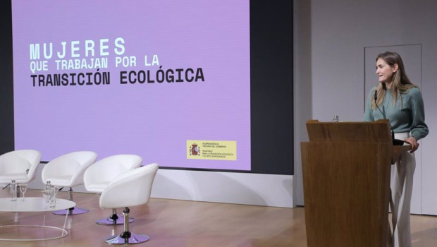 ep aagesen recuerda que el empleo de transicion ecologica es mas igualitario y pide referentes para