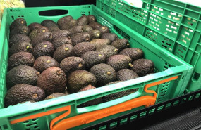 ep aguacate disponible en la seccion fruta y verdura de mercadona