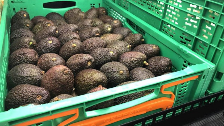 Aguacate disponible en la sección Fruta y Verdura de Mercadona | MERCADONA ep aguacate disponible en la seccion fruta y verdura de mercadona