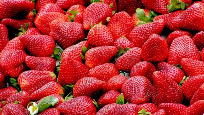 ep archivo fresas 20240424080603 ep archivo fresas 20240424080603