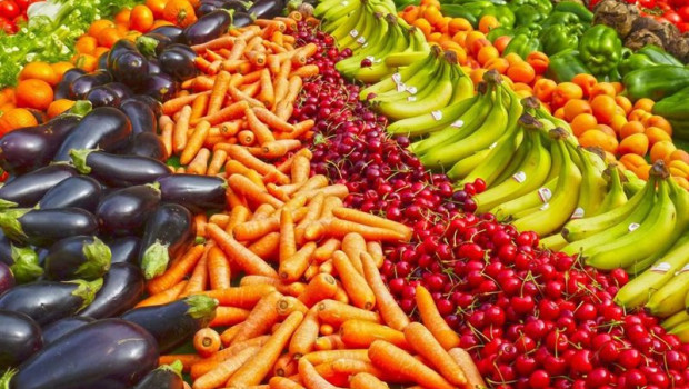 ep archivo   imagen de recurso de frutas y hortalizas