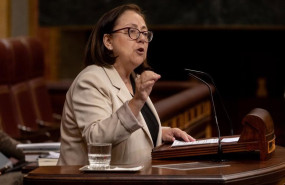 ep archivo la diputada del pp maria jesus moro interviene durante un pleno en el congreso de los ep archivo la diputada del pp maria jesus moro interviene durante un pleno en el congreso de los
