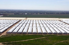 ep gonvarri industries entra en el sector agroalimentario con la adquisicion de la israeli agromega