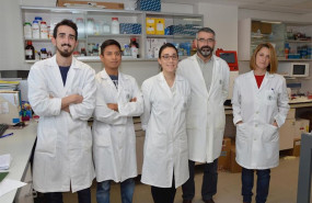 ep investigadores de la fundacio universitat catlica de valncia sant vicen mrtir