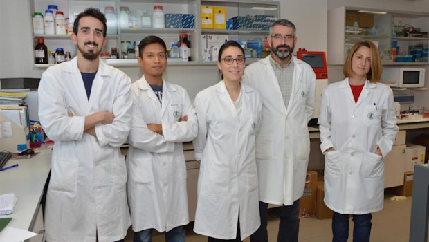 ep investigadores de la fundacio universitat catlica de valncia sant vicen mrtir