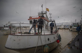 ep llegada de un barco pesquero de la lonja