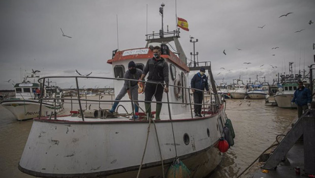 ep llegada de un barco pesquero de la lonja