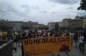 ep manifestacionpamplonafavor de unas fiestasmaltrato animal