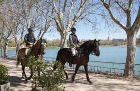 ep militares de la guardia real en patrulla a caballo contra el coronavirus