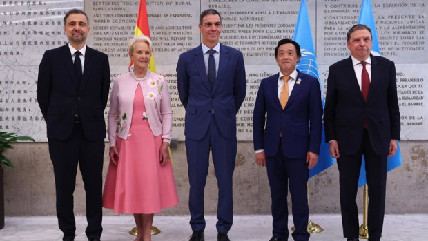 ep pedro sanchez pone en valor el potencial de la colaboracion empresarial entre espana e italia