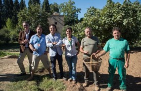 ep plantacionazafranlas huertasgeneralife