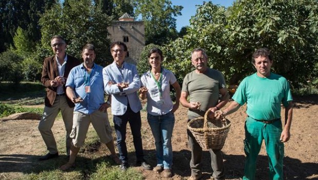 ep plantacionazafranlas huertasgeneralife