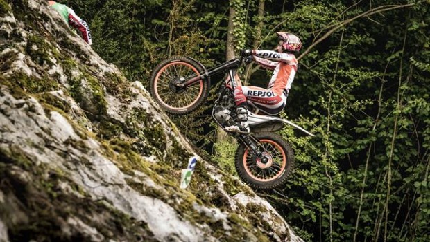 ep toni bou ganagran bretanaafianzaliderato