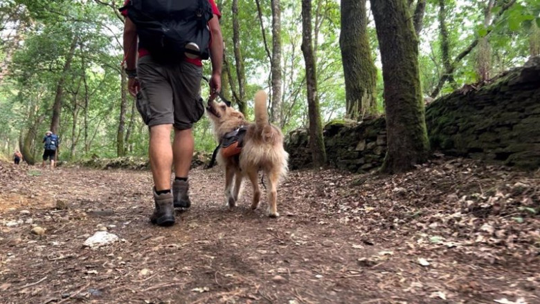 Un peregrino hace su ruta acompañado por su perro | EUROPA PRESS ep un peregrino hace su ruta acompanado por su perro