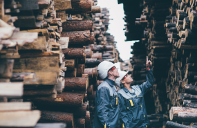 fundacin copade madera fundacin copade madera